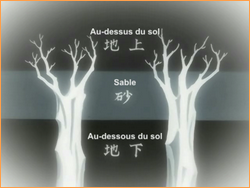 Les niveaux du Hueco Mundo